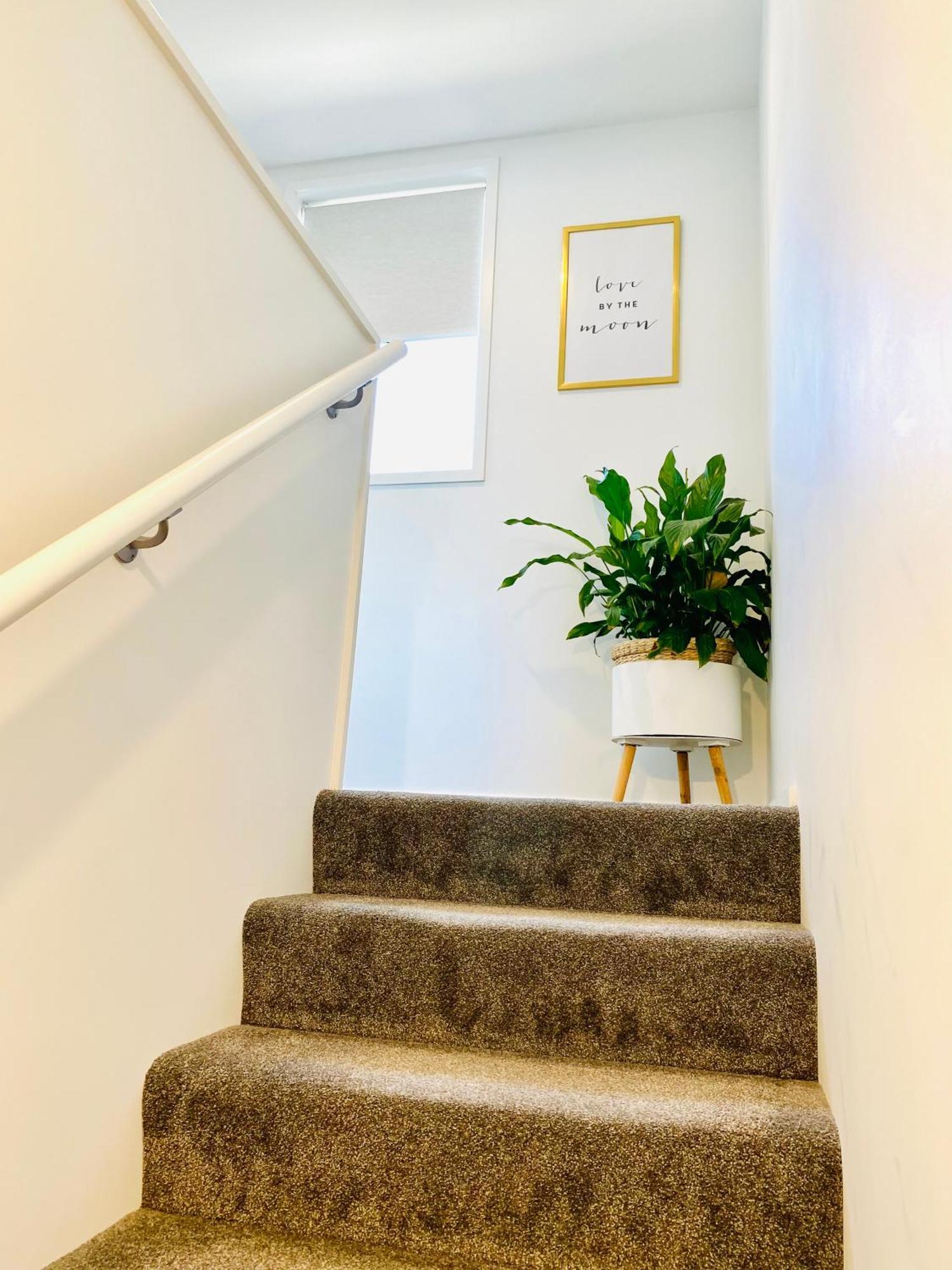 Perfect Modern Townhouse Cbd Christchurch Ngoại thất bức ảnh
